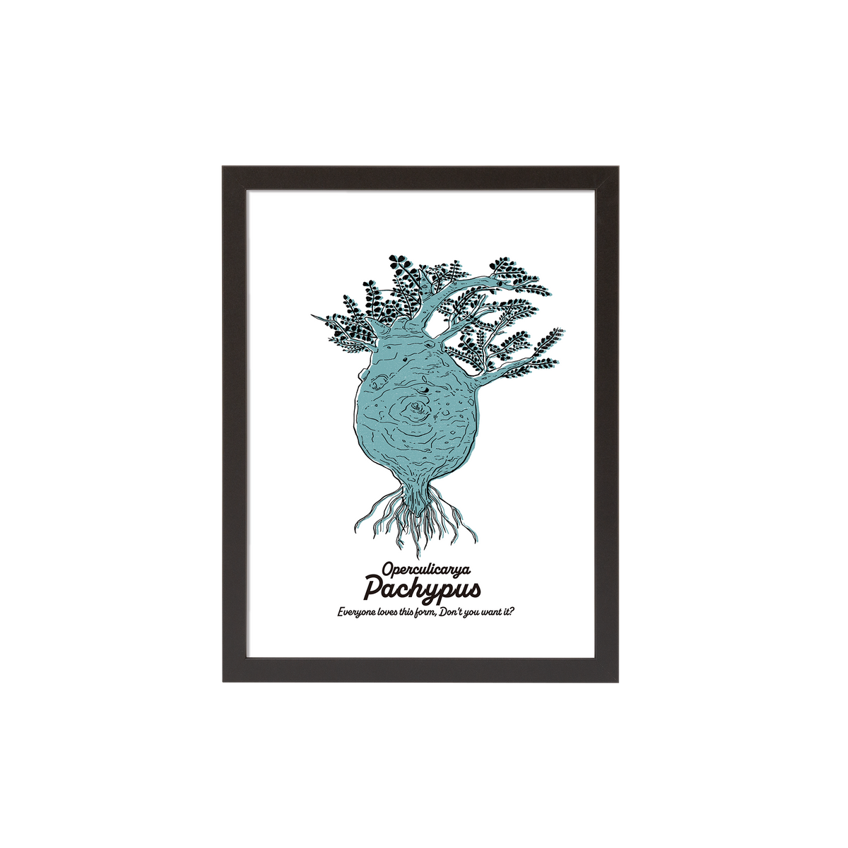 456plants A3ポスター / A[額付き] – OKINI