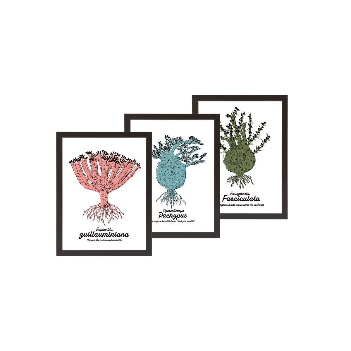 456plants A3ポスター / A[額付き] – OKINI