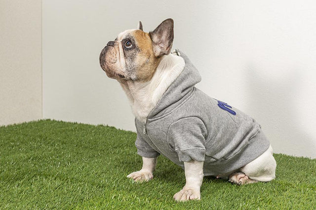hnf Zip-up Hoodie Sweatshirt