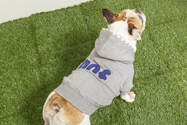 hnf Zip-up Hoodie Sweatshirt