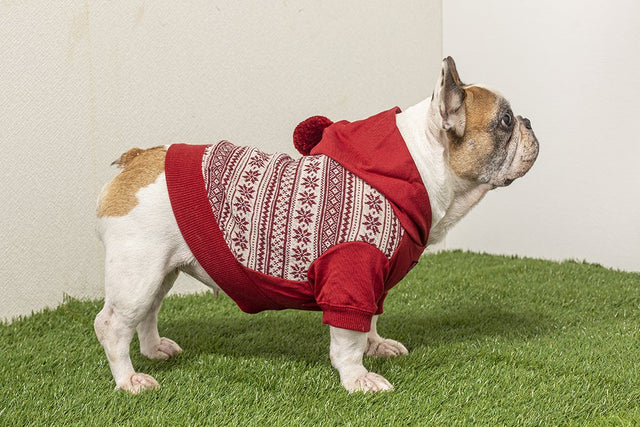hnf Wool Hoodie Bonbon