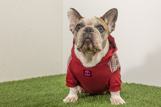 hnf Wool Hoodie Bonbon