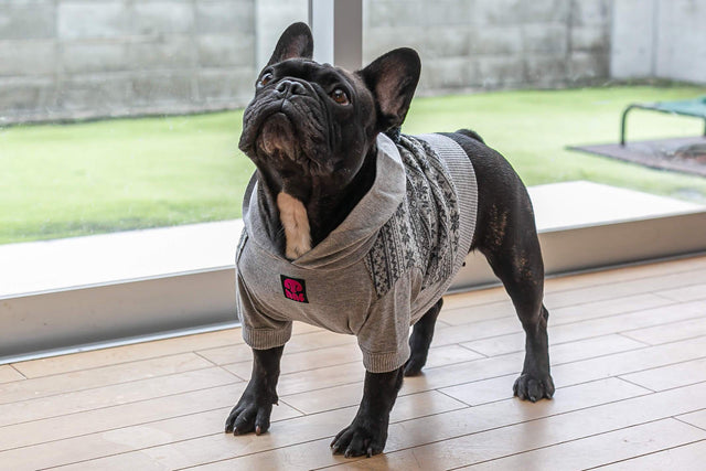 hnf Wool Hoodie Bonbon