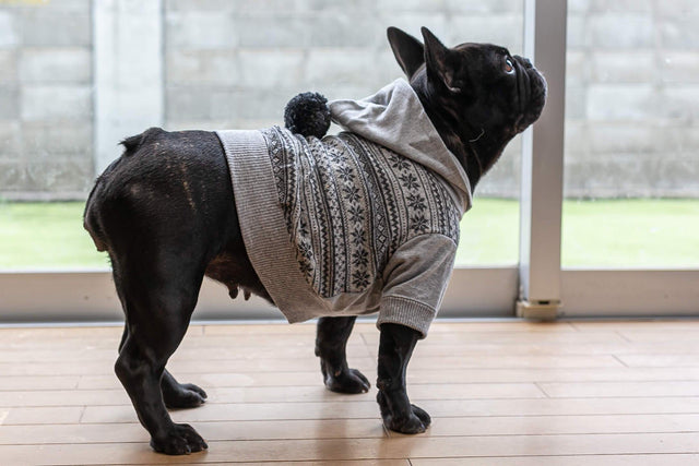 hnf Wool Hoodie Bonbon