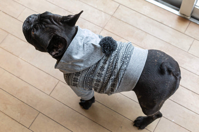 hnf Wool Hoodie Bonbon