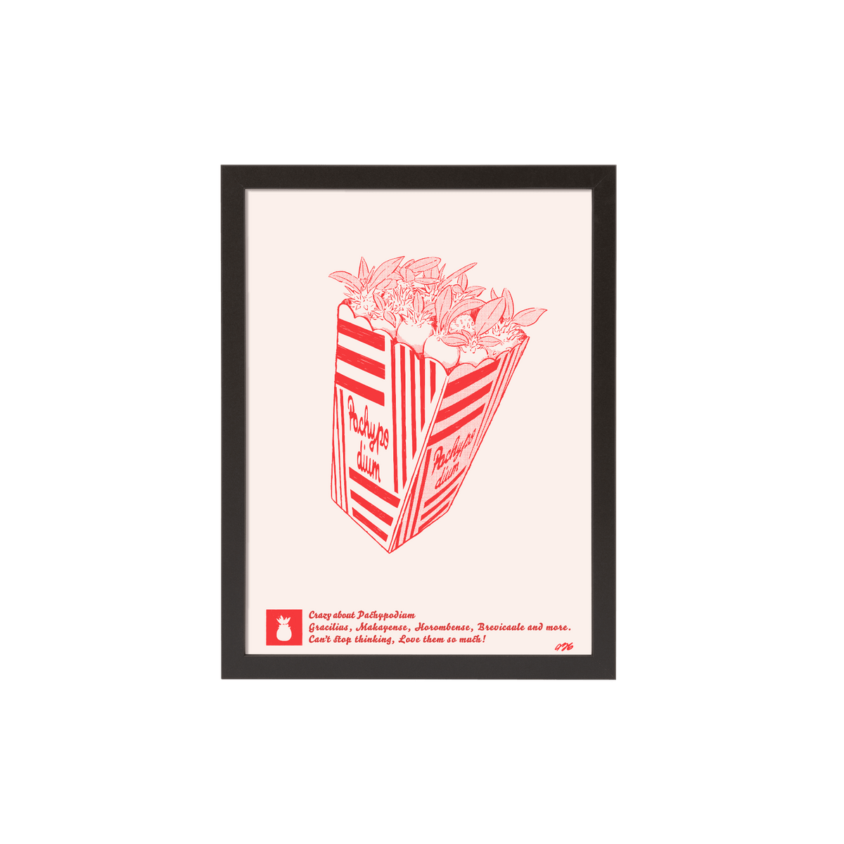 456plants A3ポスター「パキポップコーン」 [額付き] – OKINI