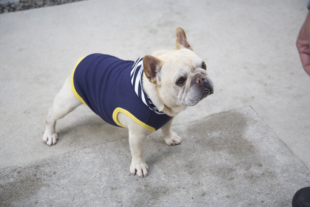 hnf Plain Hoodie Border