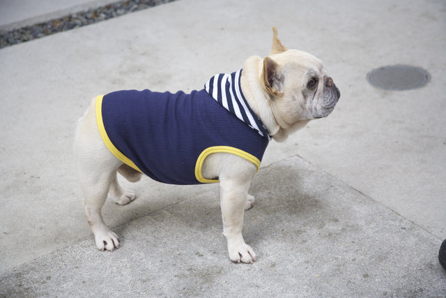 hnf Plain Hoodie Border