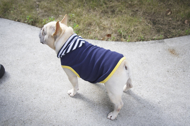 hnf Plain Hoodie Border