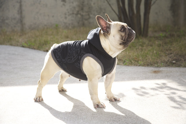 hnf French Skull Hoodie