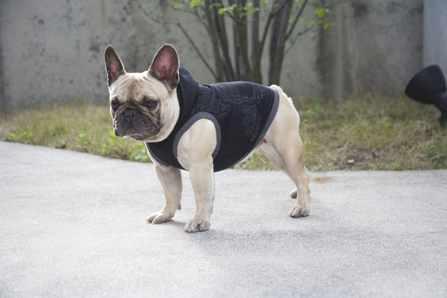 hnf French Skull Hoodie