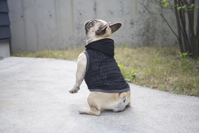 hnf French Skull Hoodie