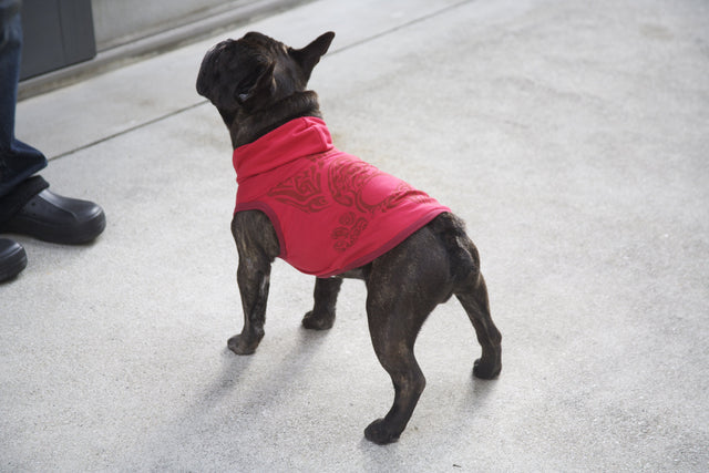 hnf French Skull Hoodie