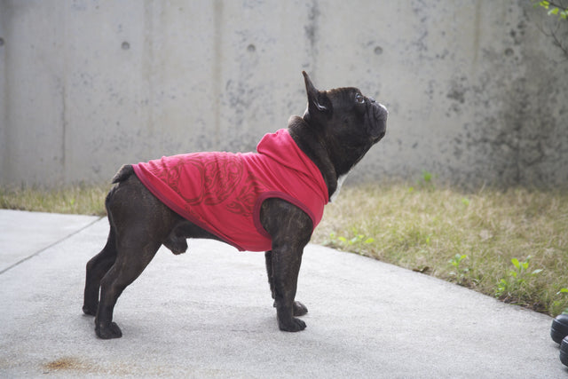 hnf French Skull Hoodie