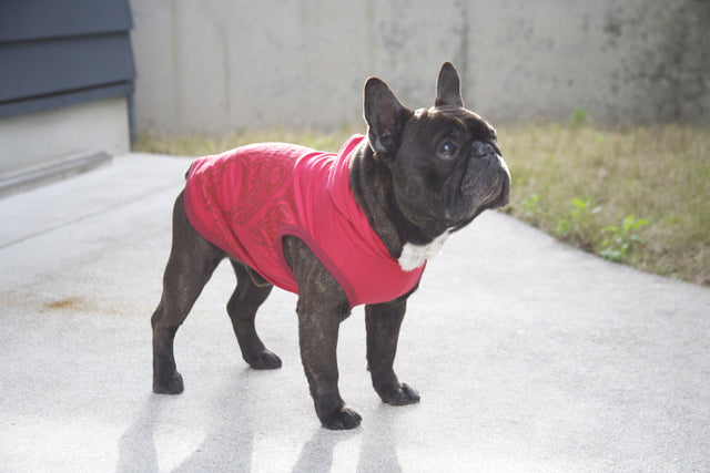 hnf French Skull Hoodie