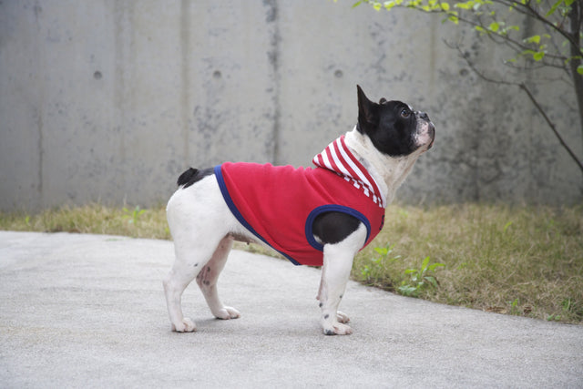 hnf Plain Hoodie Border