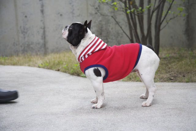 hnf Plain Hoodie Border