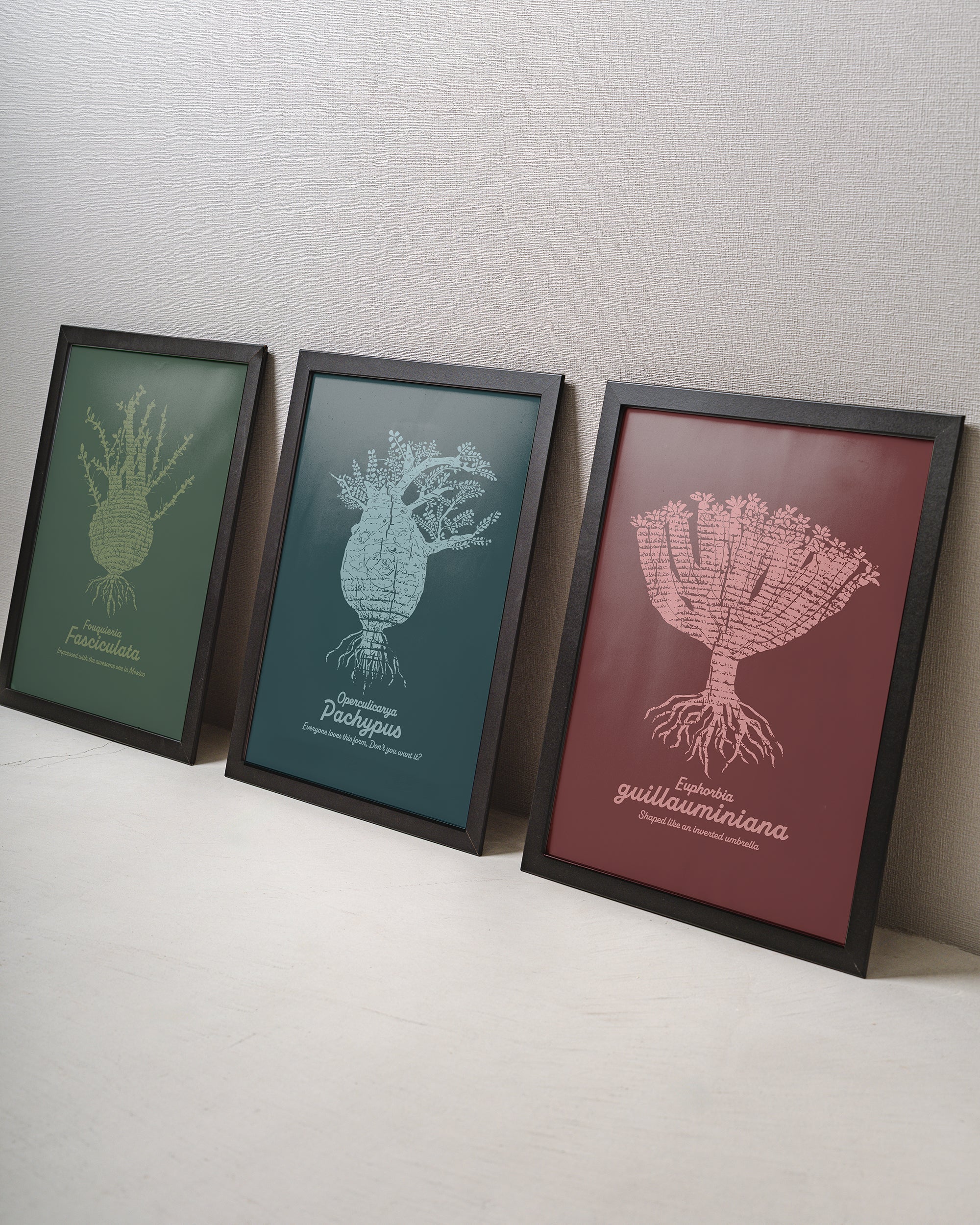 456plants A3ポスター / B[額付き] – OKINI