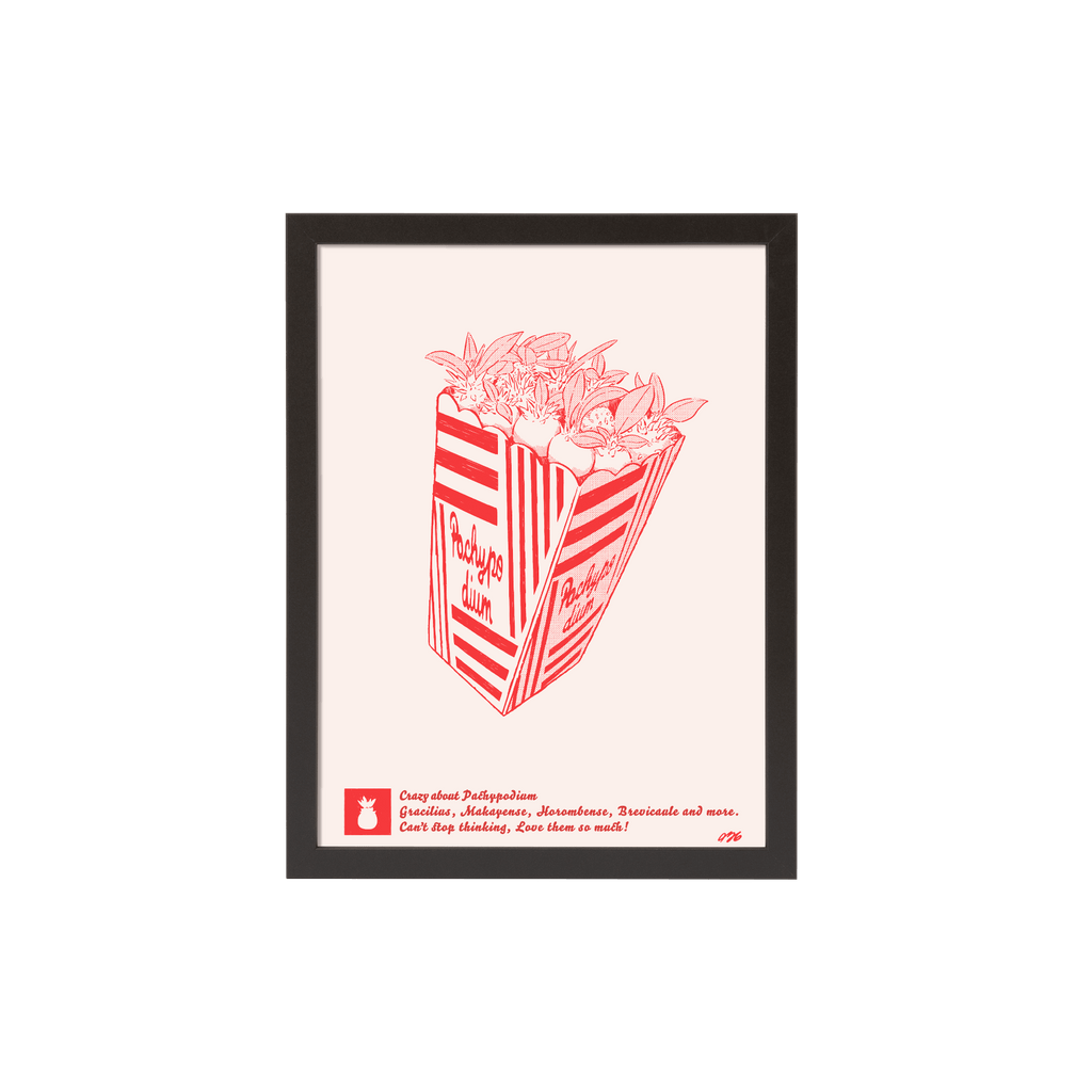 456plants A3ポスター「パキポップコーン」 [額付き] – OKINI